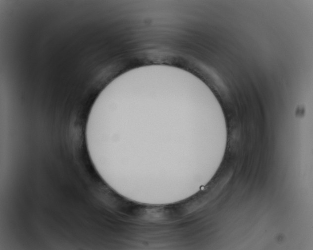 X0000103910121200809191128