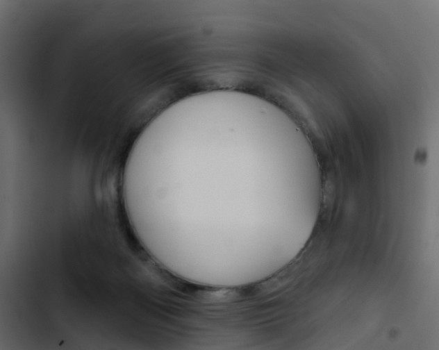 X0000103910122200809191128