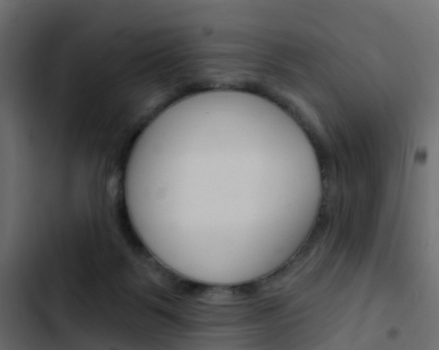 X0000103910123200809191128