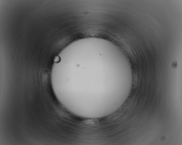 X0000103910126200809191128