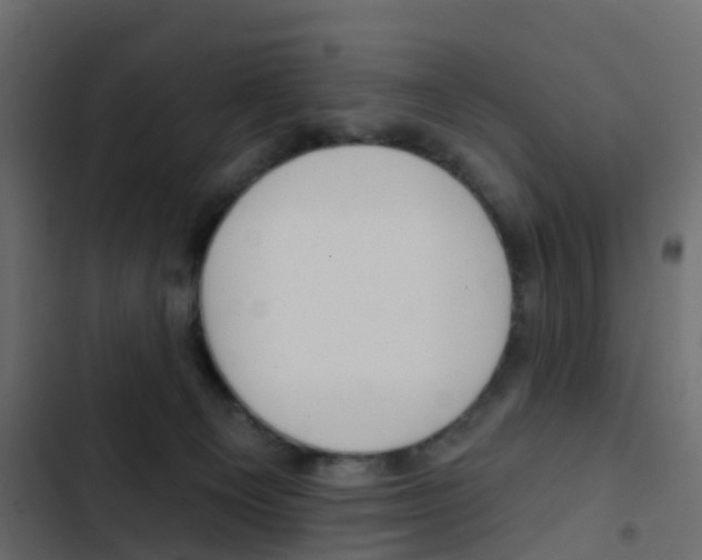 X0000103910129200809191128
