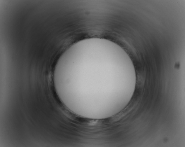 X0000103910130200809191128