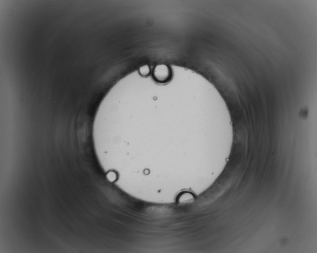 X0000103910133200809191128
