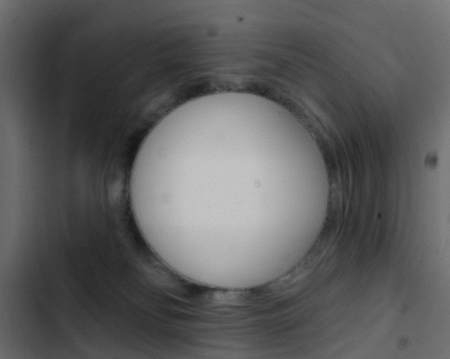X0000103910134200809191128