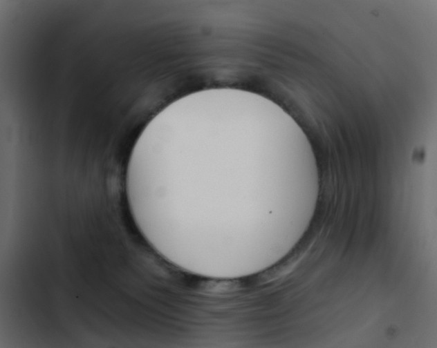 X0000103910135200809191128