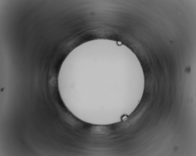 X0000103910137200809191128