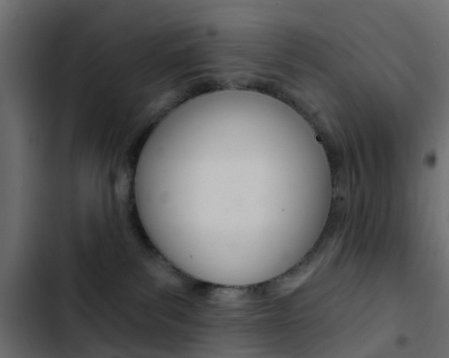 X0000103910139200809191128