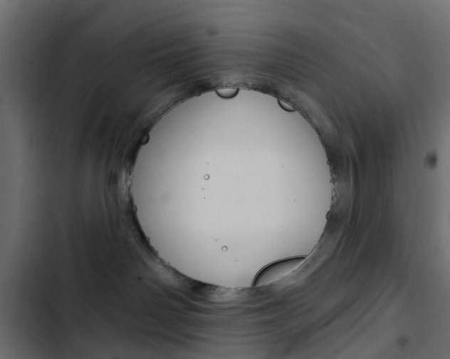 X0000103910142200809191128