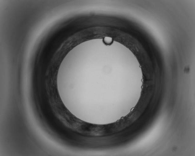 X0000103910143200809191128