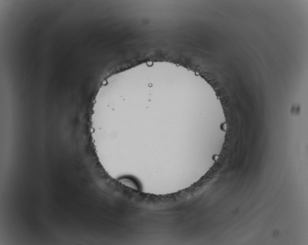 X0000103910144200809191128