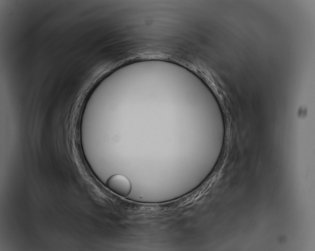 X0000103910145200809191127