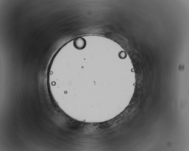 X0000103910148200809191127