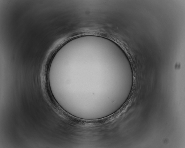 X0000103910149200809191127