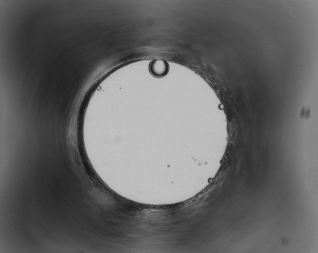 X0000103910150200809191127