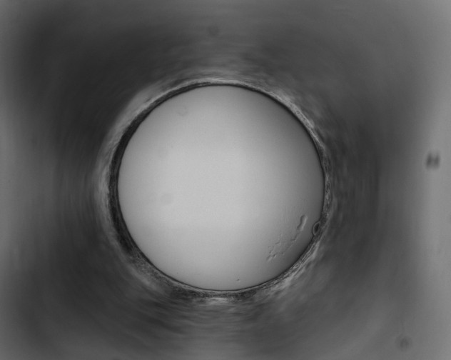 X0000103910151200809191127