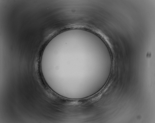 X0000103910153200809191127
