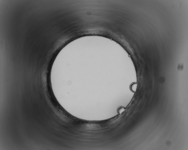 X0000103910154200809191127
