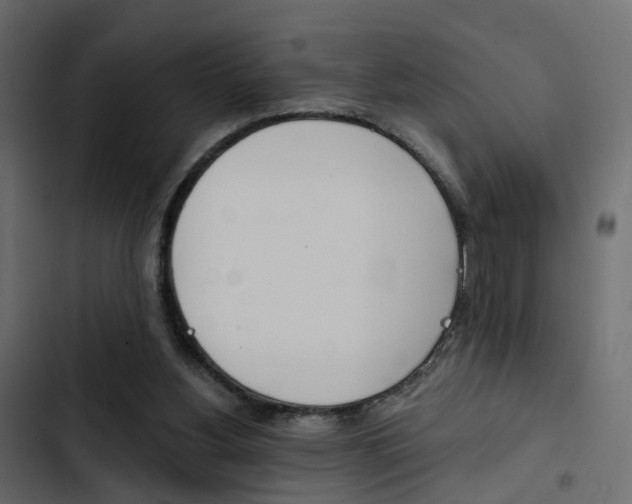 X0000103910156200809191127