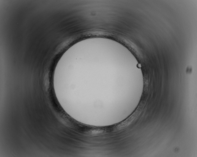 X0000103910158200809191127