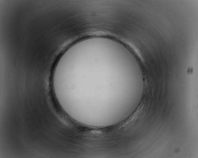 X0000103910159200809191127