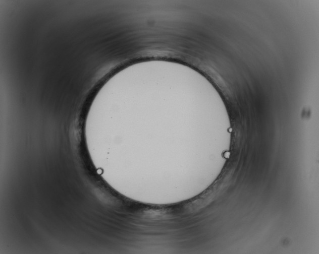 X0000103910160200809191127
