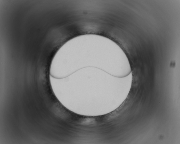 X0000103910162200809191127