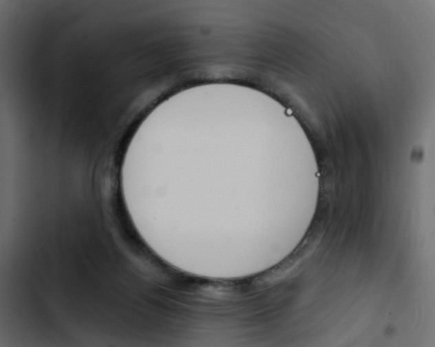 X0000103910164200809191127