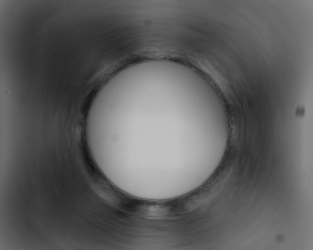 X0000103910165200809191127