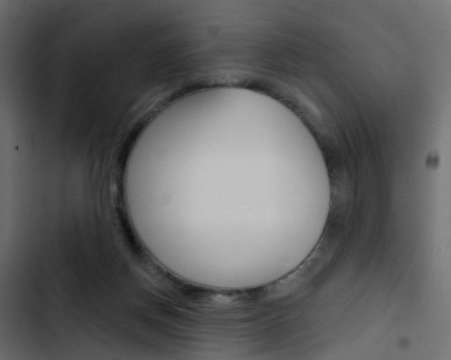 X0000103910166200809191127