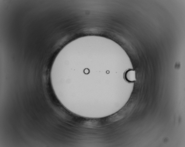 X0000103910168200809191127