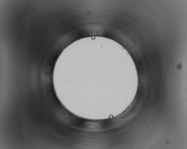 X0000103910170200809191127