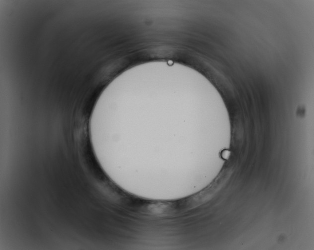 X0000103910172200809191127