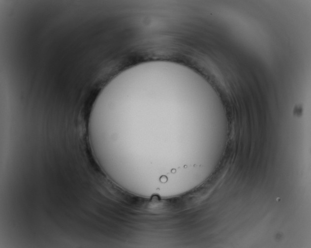 X0000103910173200809191127