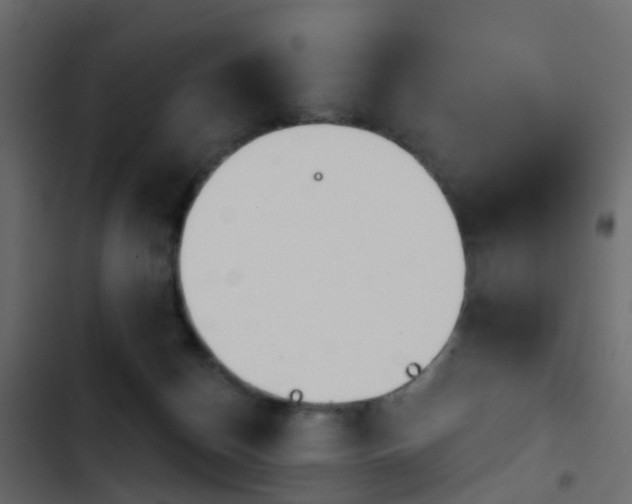 X0000103910174200809191128