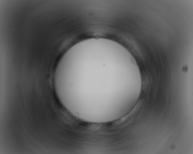 X0000103910175200809191128