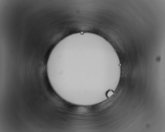 X0000103910176200809191128