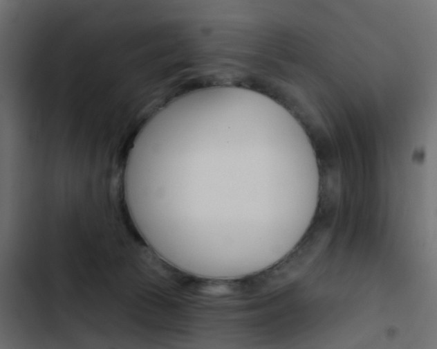 X0000103910177200809191128