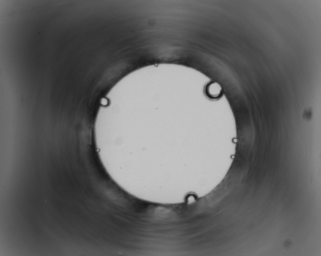 X0000103910180200809191128
