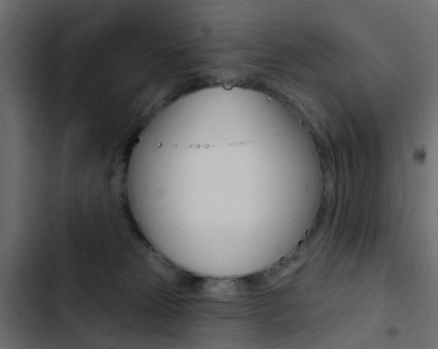 X0000103910181200809191128