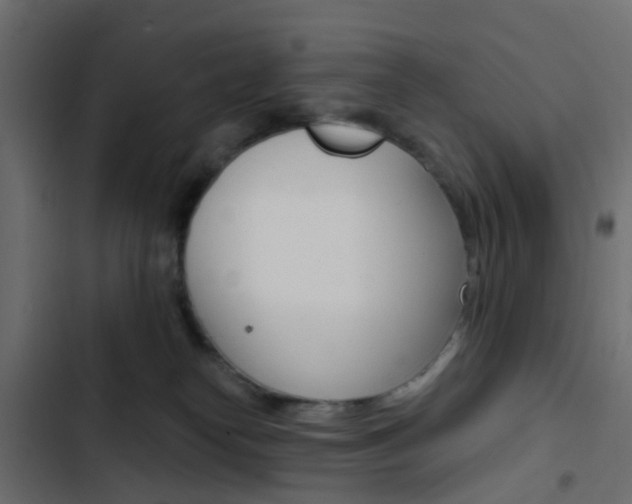 X0000103910182200809191128