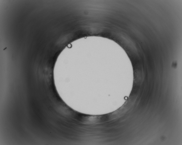 X0000103910184200809191128
