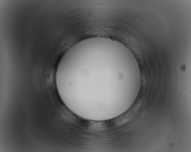 X0000103910185200809191128