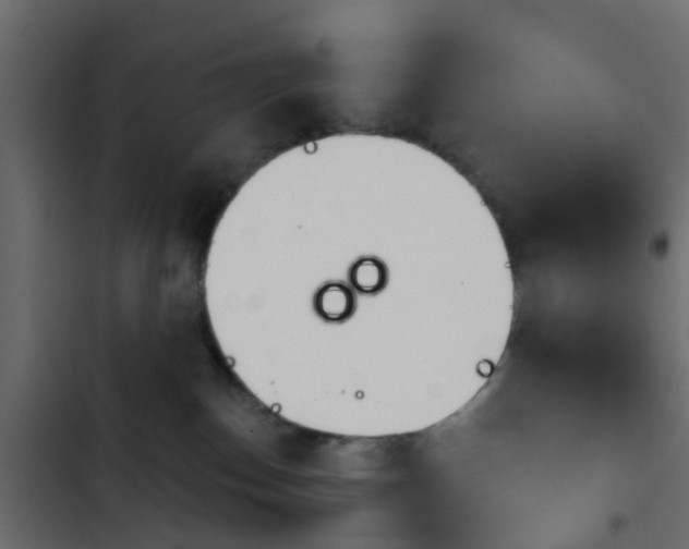 X0000103910186200809191128