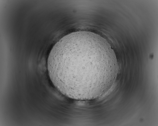 X0000103910187200809191128