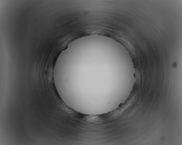 X0000103910189200809191128
