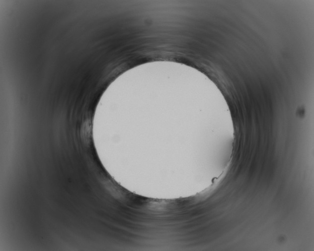 X0000103910190200809191128
