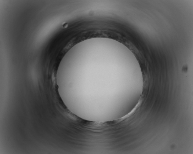 X0000103910191200809191128