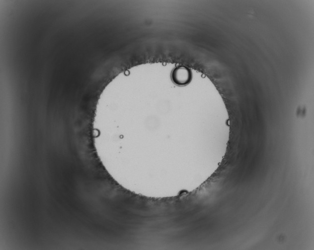X0000103910192200809191128