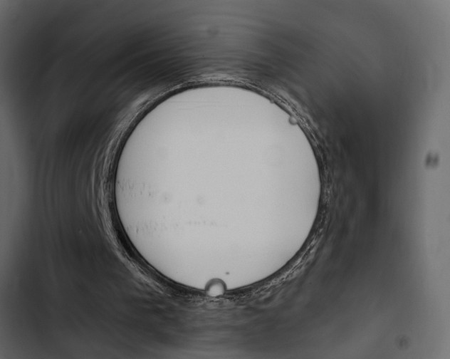 X0000103910193200809191127