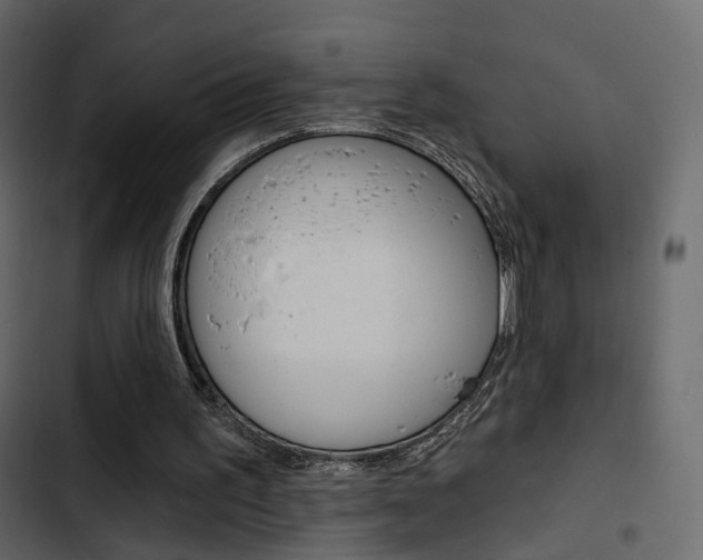 X0000103910195200809191127